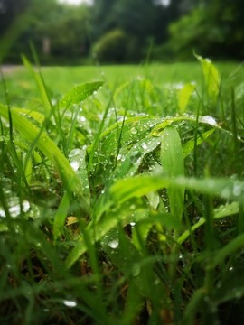 街頭的暴雨