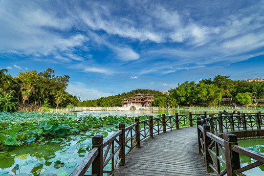 南寧獅山公園荷花池