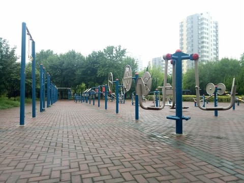 體育健身器材