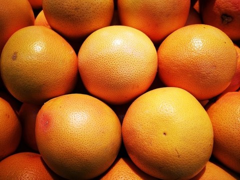 西柚