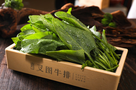 火鍋菠菜