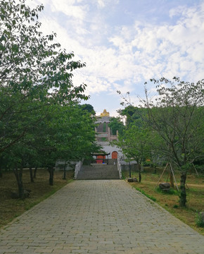 公園游玩