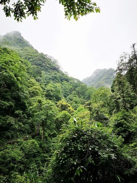 峨眉山風(fēng)光