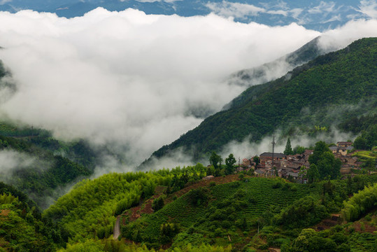 鄉(xiāng)村迷霧