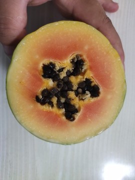 木瓜