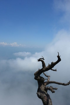 天門(mén)山