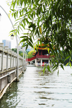 烈士公園