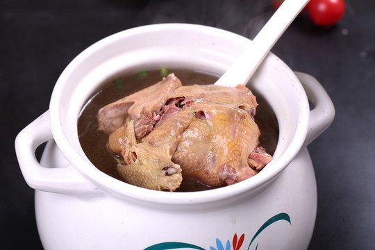 乳鴿湯