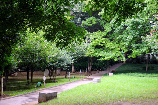 公園景觀走廊