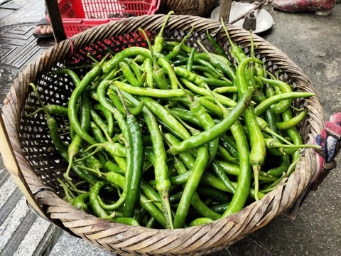 新鮮青椒