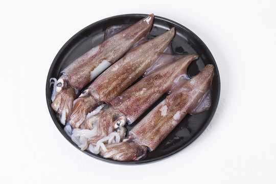 印尼魷魚