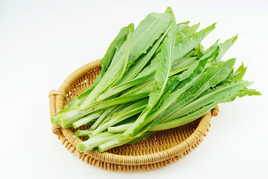 油麥菜