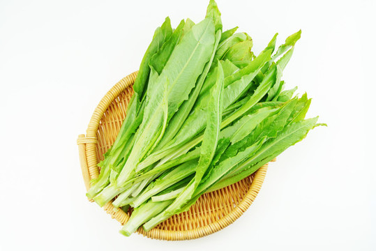 油麥菜