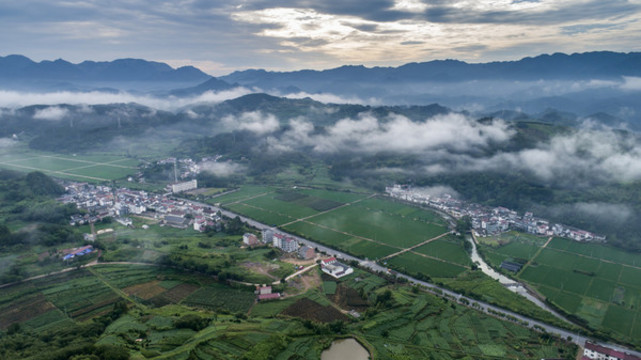 江南農(nóng)村風(fēng)光