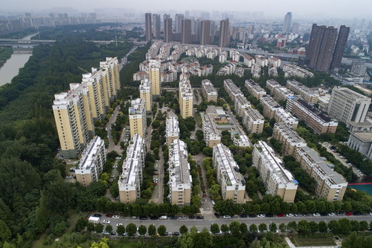 城市生活小區(qū)綠化