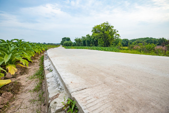 穿越田間的水泥路
