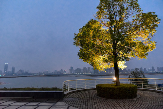 江邊街景