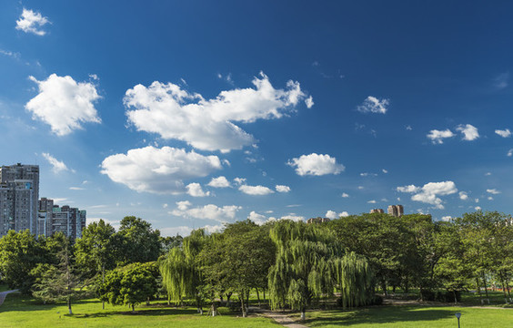 綿陽(yáng)三江濕地公園