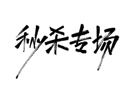 秒殺專場秀麗筆手寫書法字體