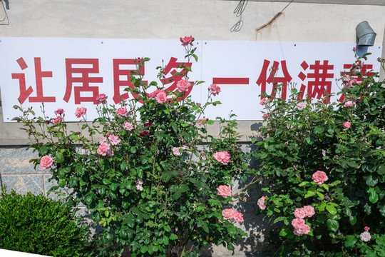 村貌