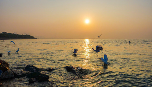 深圳后海
