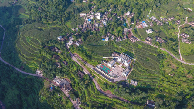 峽谷居民