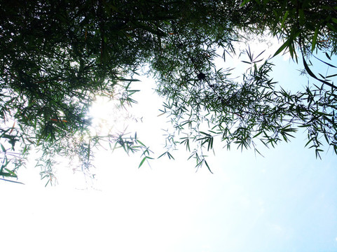 天空
