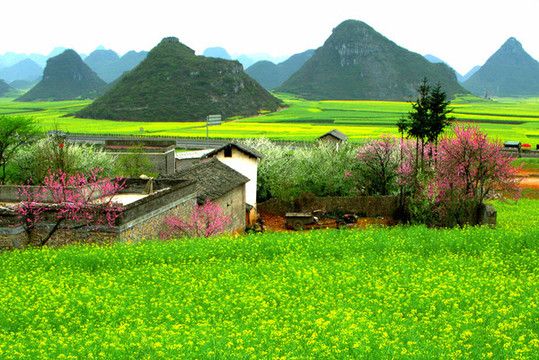 春天的農(nóng)村景色
