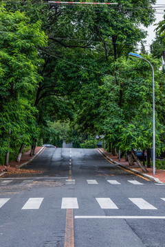 綠茵道路