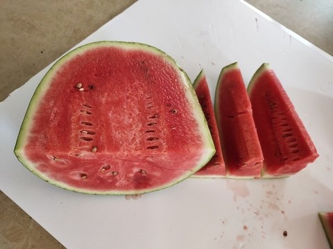 切開的沙漠瓜