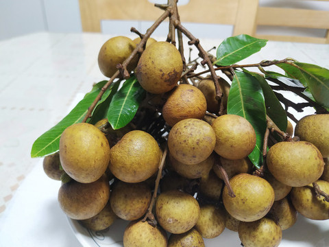 儲(chǔ)良龍眼