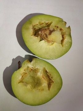 脫骨李特寫