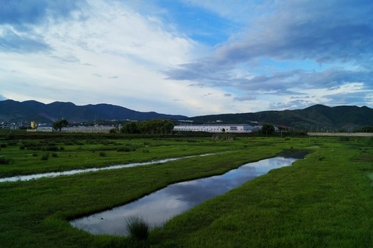 農(nóng)村濕地