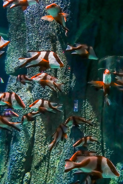 水族館