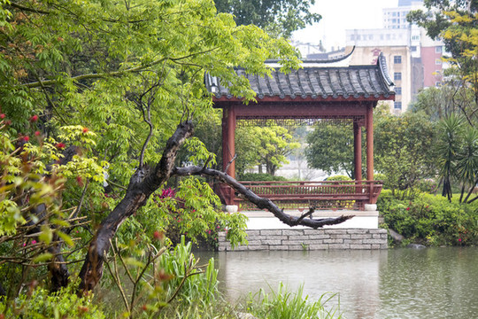 古典園林