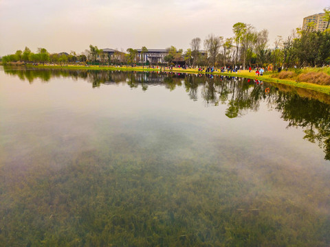 成都錦城湖