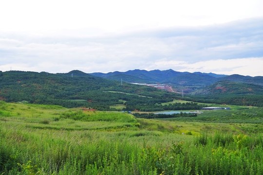 云南雪桃基地