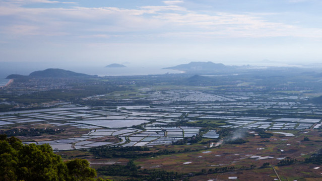 田野