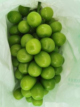 陽光玫瑰葡萄