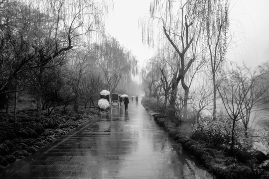 雨中瘦西湖