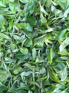 茶葉