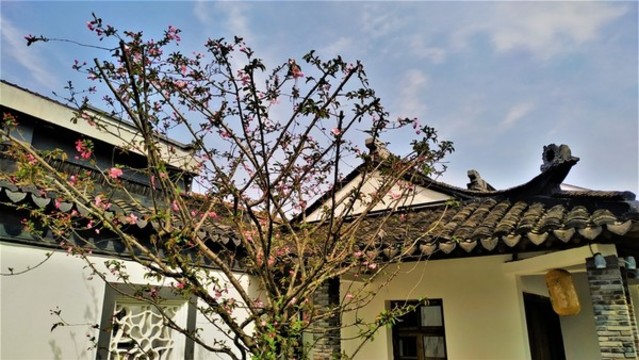 美麗鄉(xiāng)村