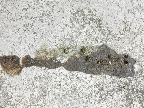 雞糞便紋理