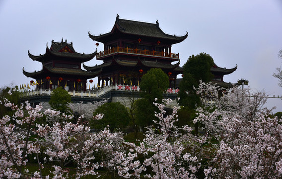 貴州甕安草塘春曉