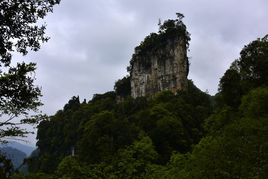 貴州油杉河仙宇峰