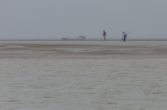 趕海