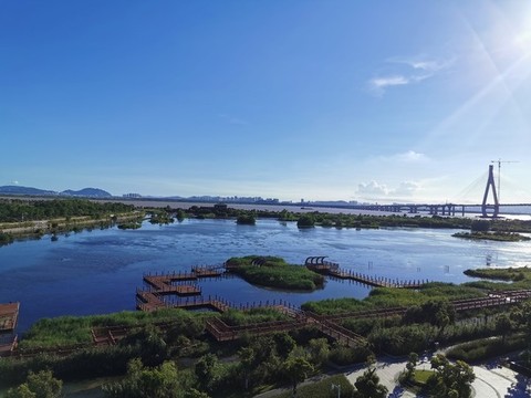 橫琴芒洲濕地公園