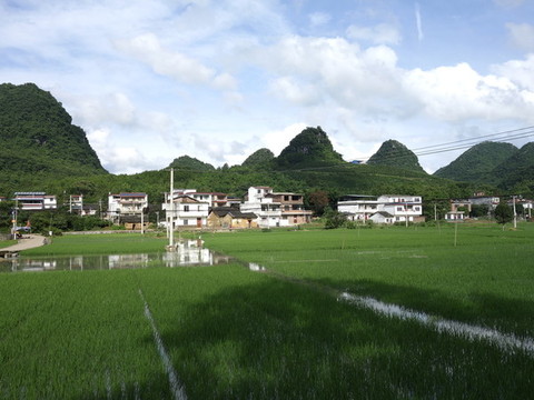 農(nóng)村