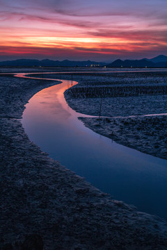 黃昏夕陽退潮后的灘涂