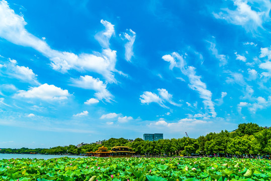 湖景